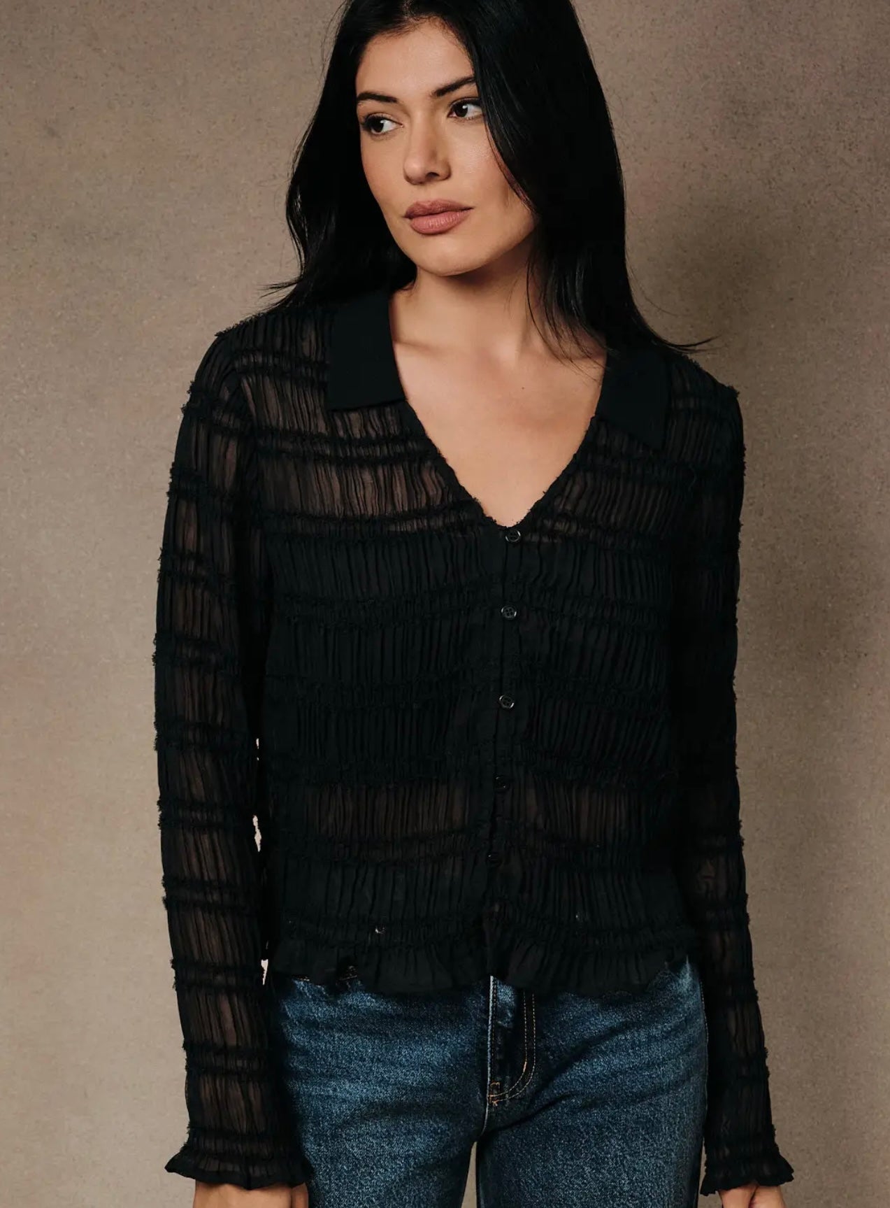 Sheer Long Sleeve Collared Blouse